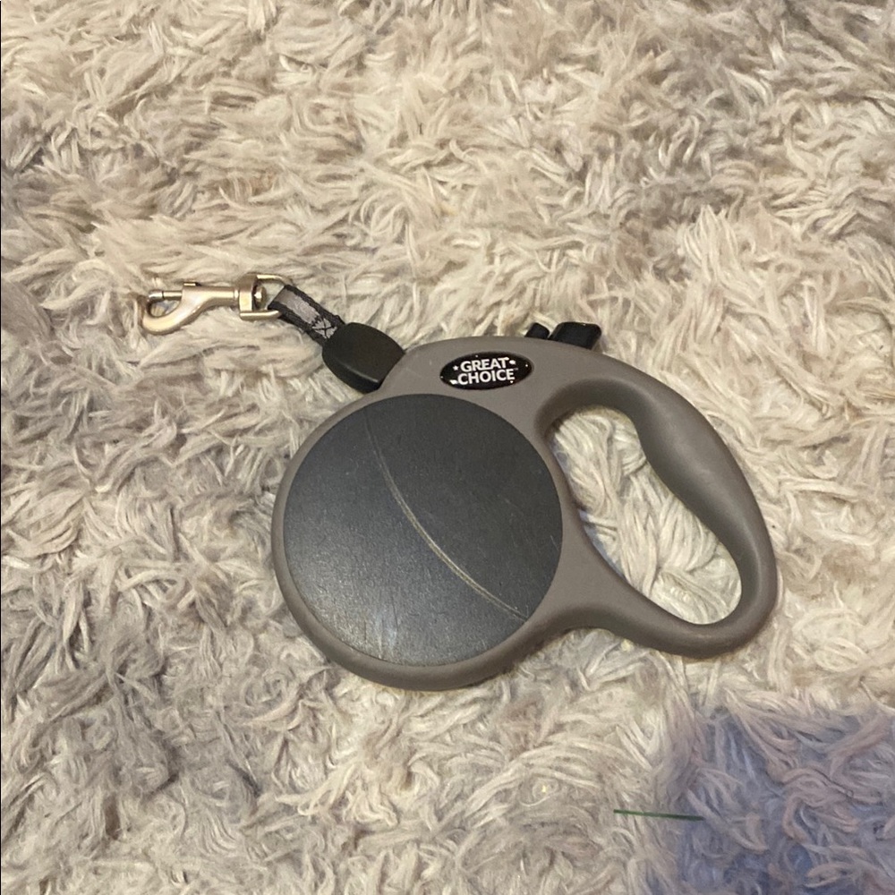 Gray Retractable Dog Leash